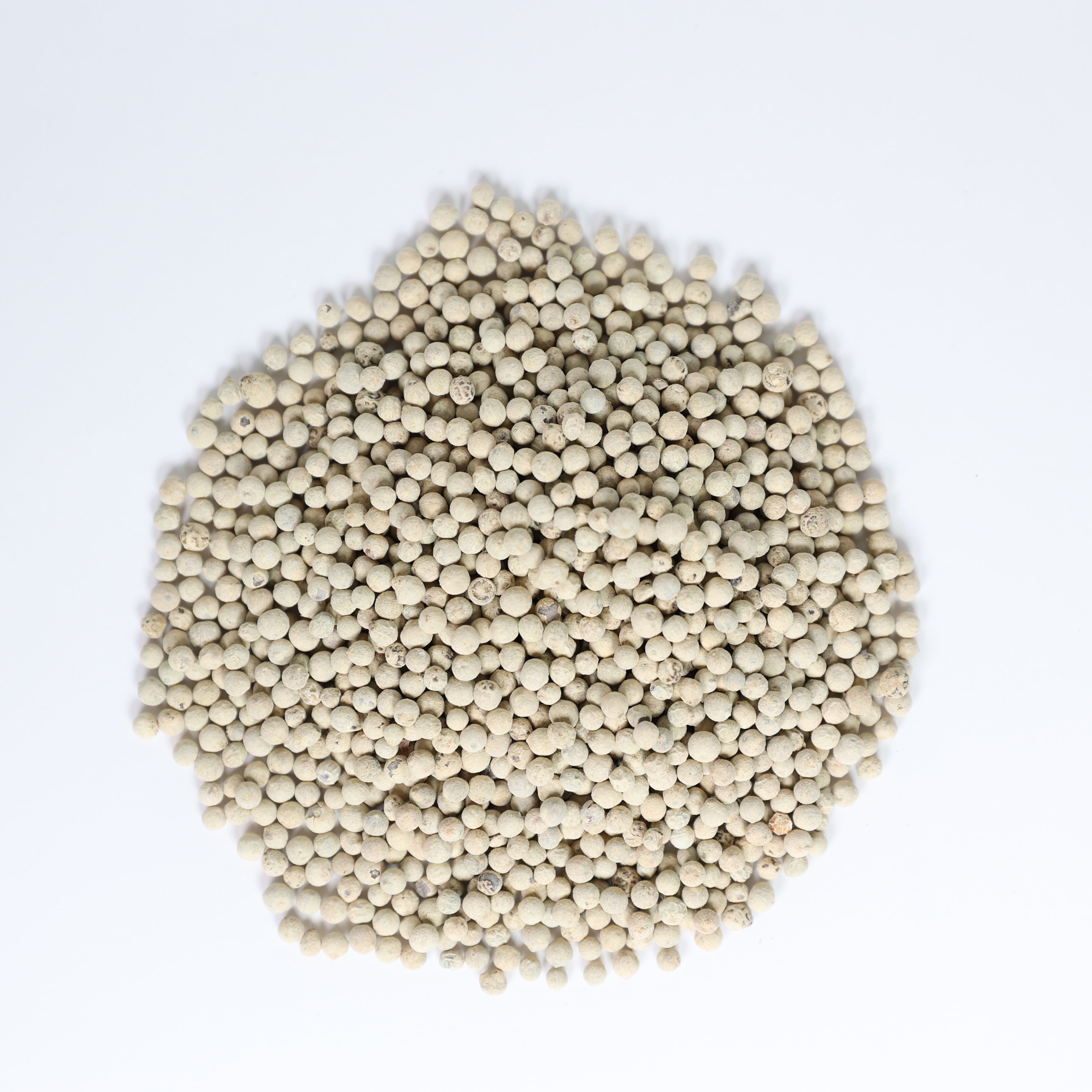 White Pepper Seeds
