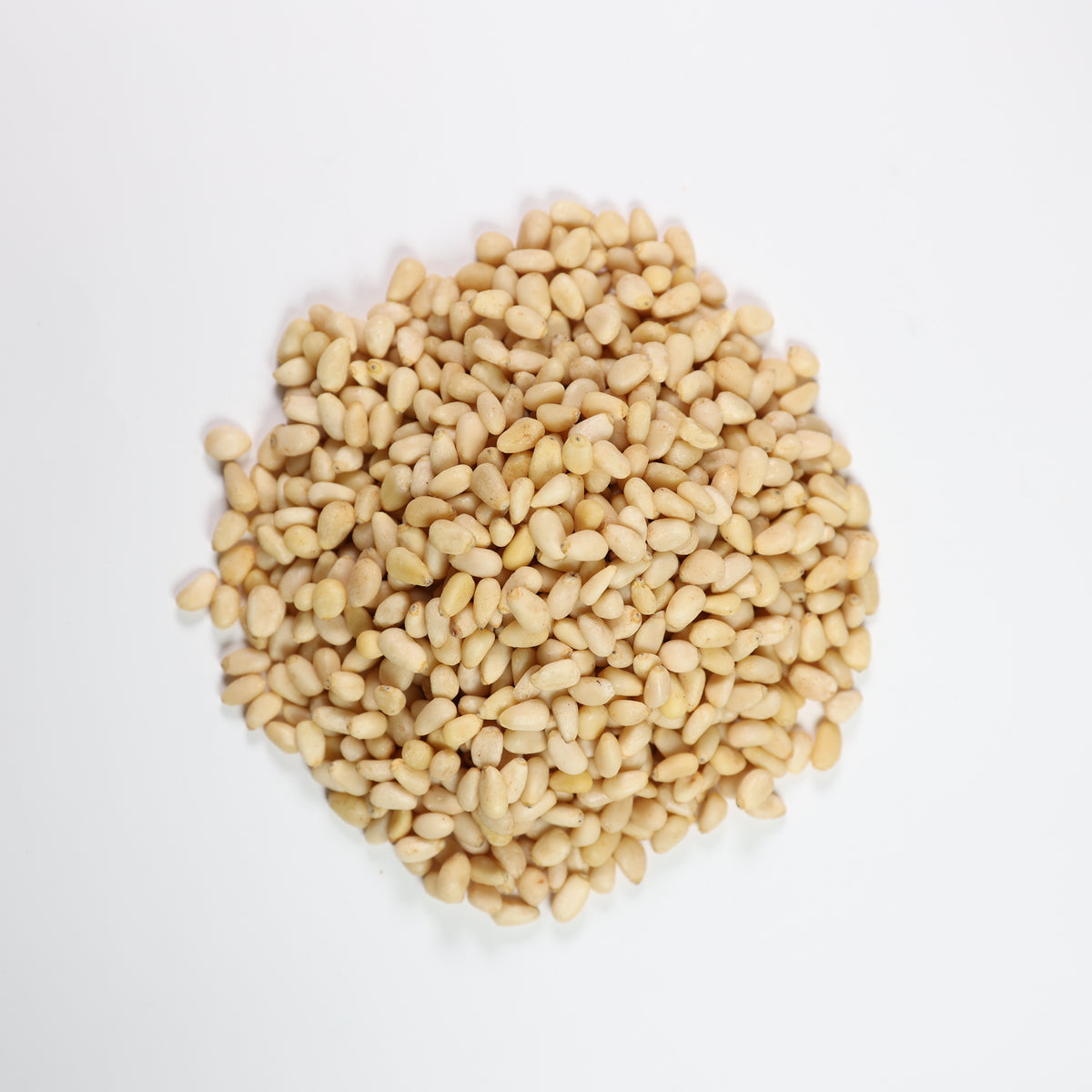 Pine Nuts