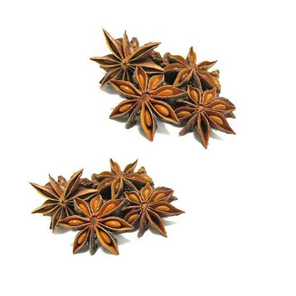 Anise Star - Village Foods Montreal 